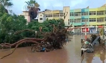 Apelo | Donativos para Cabo Verde